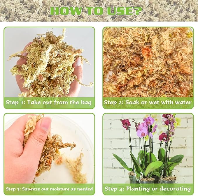 ZeeDix 6 oz Sphagnum Moss for Plants Indoor, Long Fiber Natural Orchid Moss for Repotting Carnivorous Plants, Succulents, Monstera, Flower & Reptile Terrariums Habitats (Expands to 8 qt)