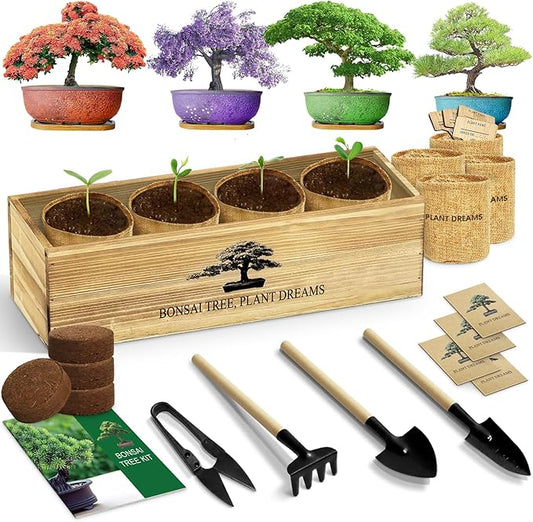 Bonsai Tree Kit, Complete Bonzai Tree Starter Kits with Tools, Unique Christmas Birthday DIY Gardening Gifts for Women Mom Men Grandkids, Crafts Hobby Kits, Grow Bonsai Tree Live Indoor