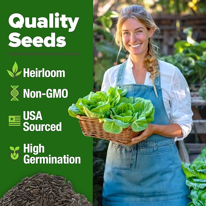 HOME GROWN 𝗨𝗦𝗔 𝗣𝗥𝗘𝗠𝗜𝗨𝗠 Buttercrunch Lettuce Seeds Bulk Pack - 1975 Heirloom 𝗡𝗢𝗡-𝗚𝗠𝗢 Seeds for Hydroponic Garden Indoor Outdoor - Butter Lettuce Vegetable for Planting (Lactuca Sativa)