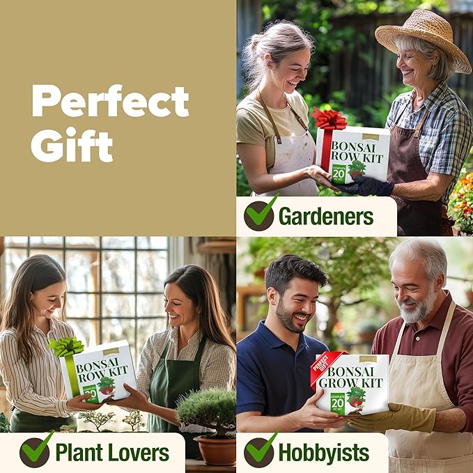 HOME GROWN Bonsai Tree Kit – Grow 4 Bonsai Types Indoors with Complete Starter Kit Including Pots Peat Pellets and Bonus Grow Guide – Unique Gardening Gift for Men Women Beginners