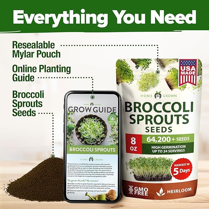 HOME GROWN Broccoli Seeds 8 oz - for Sprouting or Microgreens 𝗡𝗢𝗡-𝗚?𝗢 𝗨𝗦𝗔-𝗦𝗢𝗨𝗥𝗖𝗘𝗗 High Germination Sprout Seeds Nutritious Micro Greens - Broccoli Sprouts in 5 Days - Sulforaphane Rich