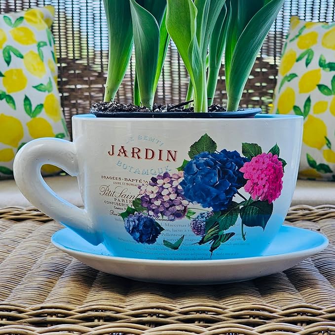 7.5" Ceramic Teacup Planter Pot with Saucer | Ideal for Succulents, Orchids, Herbs & Flowers | Indoor Use| Thoughtful Gift for Christmas, Birthday & More – Blue Hydrangea Jardin