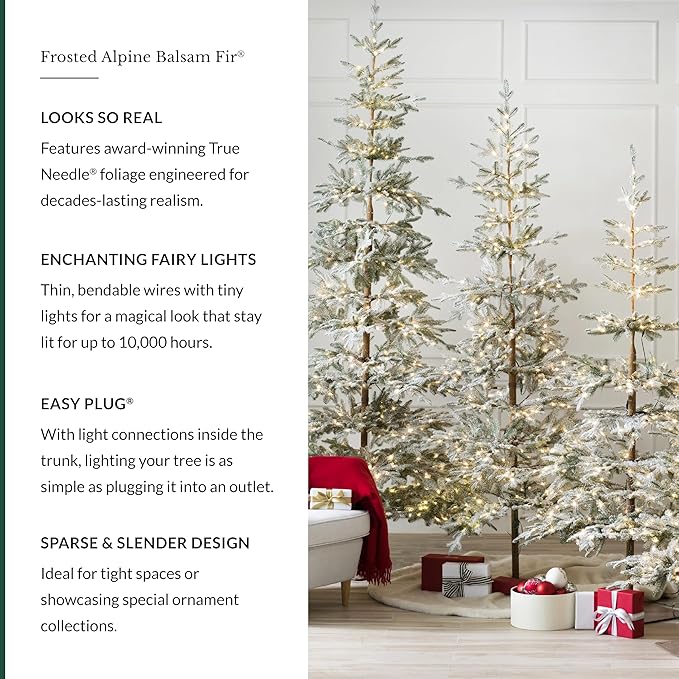 Balsam Hill Frosted Alpine Balsam Fir - Snow-Kissed Artificial Christmas Tree with Pre-Fluffed Memory Wire Branches and LED Clear Fairy Lights, 9'