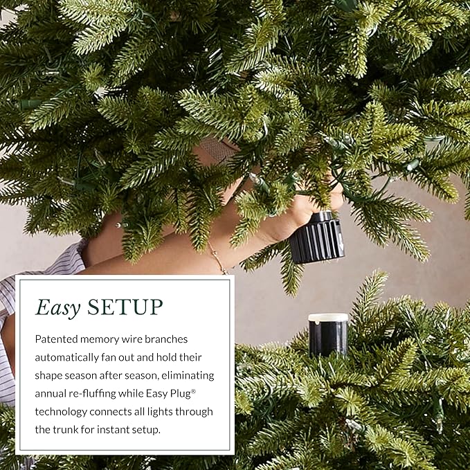 Balsam Hill Frosted Alpine Balsam Fir - Snow-Kissed Artificial Christmas Tree with Pre-Fluffed Memory Wire Branches and LED Clear Fairy Lights, 6.5'