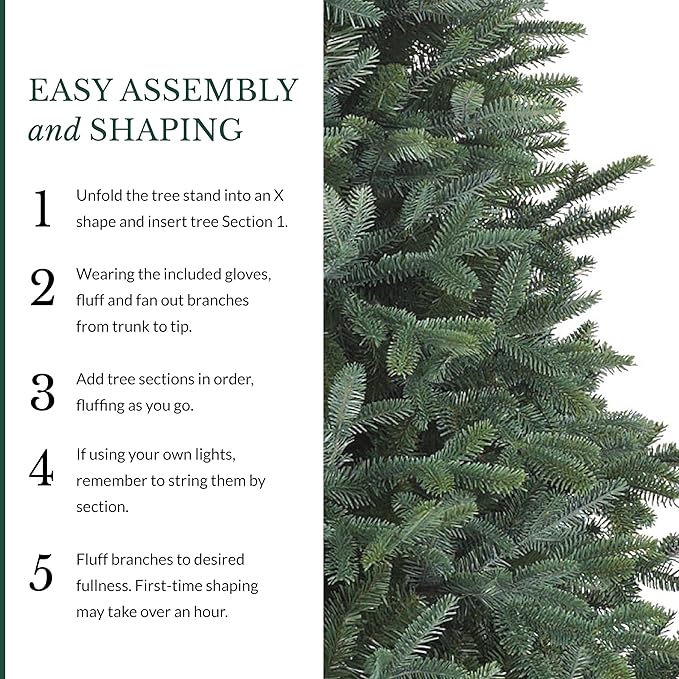 Balsam Hill European Silver Fir - Elegant Artificial Christmas Tree with True Needle Foliage Available Unlit or with LED Clear Lights, Unlit, 7'