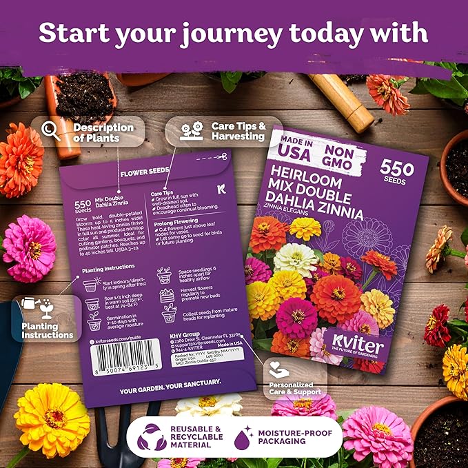 KVITER 550 Dahlia Zinnia Seeds for 2025 Mix (Zinnia Elegans) – Double Blooms, Heirloom & Organic – Flower Seeds for Planting Outdoors in Garden, Containers, Flower Beds. Ideal for Cut Flowers