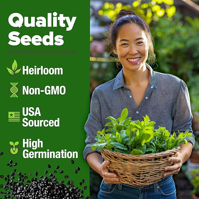 HOME GROWN 𝗨𝗦𝗔 𝗣𝗥𝗘𝗠𝗜𝗨𝗠 Common Mint Seeds (Bulk Pack) 1,800 𝗡𝗢𝗡-𝗚𝗠𝗢 Heirloom Herb Seeds, USA Sourced | Ideal for Planting Outdoors or Indoors for a Fresh Mint Tea Garden (Mentha spp)