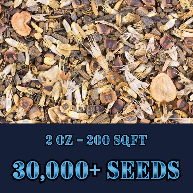 Native Prairie Mix (2oz) Sprinkle a Little Magic—Our Shade, Perennial, Hummingbird, Deer-Resistant, and Other mixes Bring Vibrant Color and pollinator Joy to Any Space.