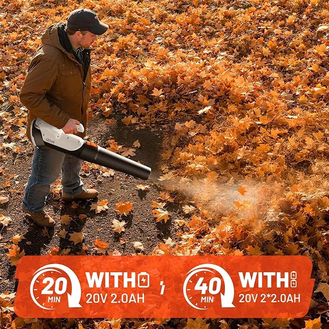 Litheli Cordless Leaf Blower with 2 Batteries (Works as Portable Power Bank), Ultra-Lightweight Electric Blower for Driveways, Patios & Decks, 2-Speed 350CFM for Dry Leaves, Dust & Car Drying