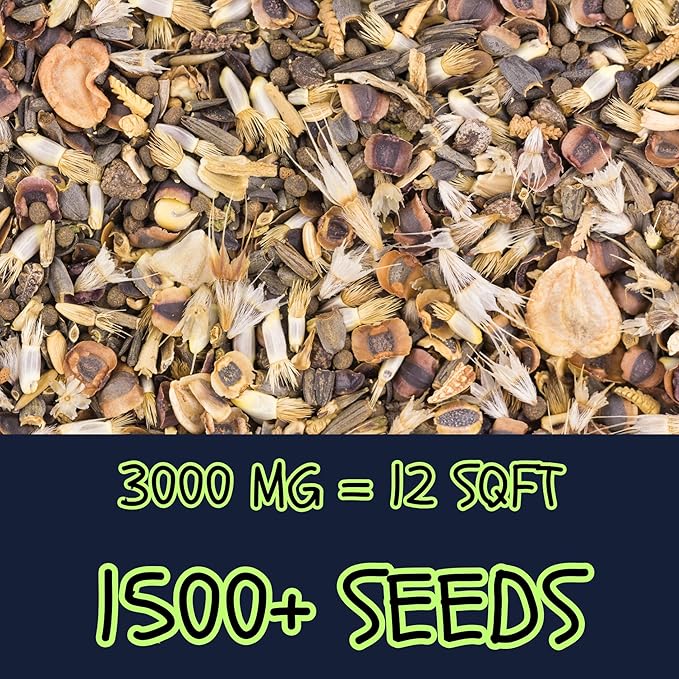Midwest Wildflower Mix (Seed Packet) Sprinkle a Little Magic—Our Shade, Perennial, Hummingbird, Deer-Resistant, and Other mixes Bring Vibrant Color and pollinator Joy to Any Space.