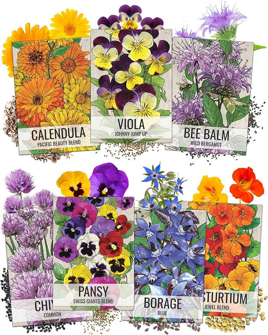 Seed Needs, Edible Wildflower Seed Packet Collection (7 Varieties of Flower Seed for Planting) Non-GMO & Untreated - Includes Viola, Pansies, Chives, Borage, Calendula, Nasturtium and Bee Balm
