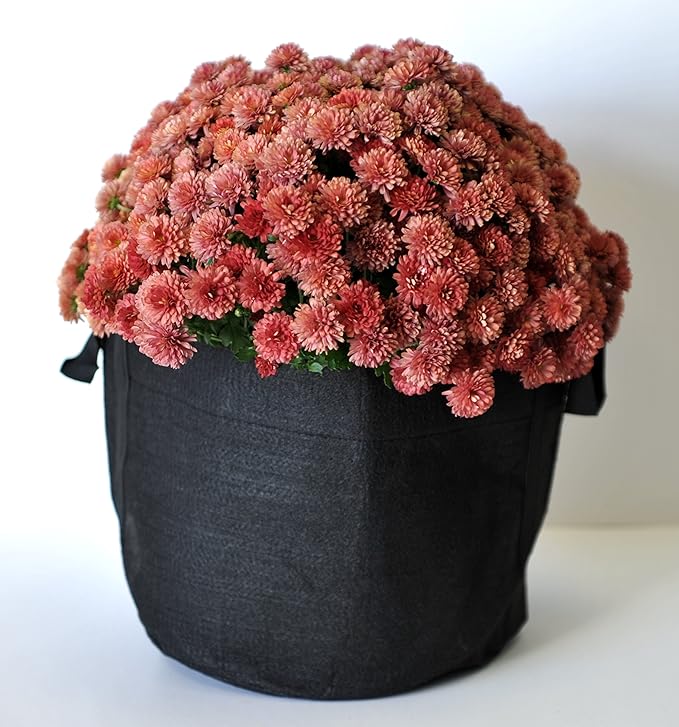 RootEase Garden Planting Fabric Container, Heavy Duty Durable Fabric Grow Pots, Perfect Harvest Planter, Raised Bed Gardening, Eco-Friendly Grow Bags (30, Black)