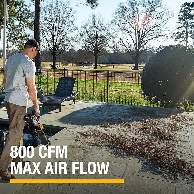 Cat DG651 60V 800 CFM 170 MPH High-Powered Leaf Blower Cordless, Adjustable Speed Blowers for Lawn Care, Lightweight Cordless Leaf Blower with Variable Air Control ? Battery & Charger Included