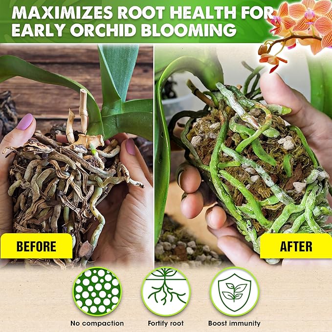 [Upgraded] DUSPRO Orchid Potting Mix for Repotting with Forest Moss, Pine Bark, Perlite & Pumice, Orchid Bark Potting Mix, Orchid Repotting Soil, Drainage Indoor Potting, Orchid Pot Not Included, 20QT
