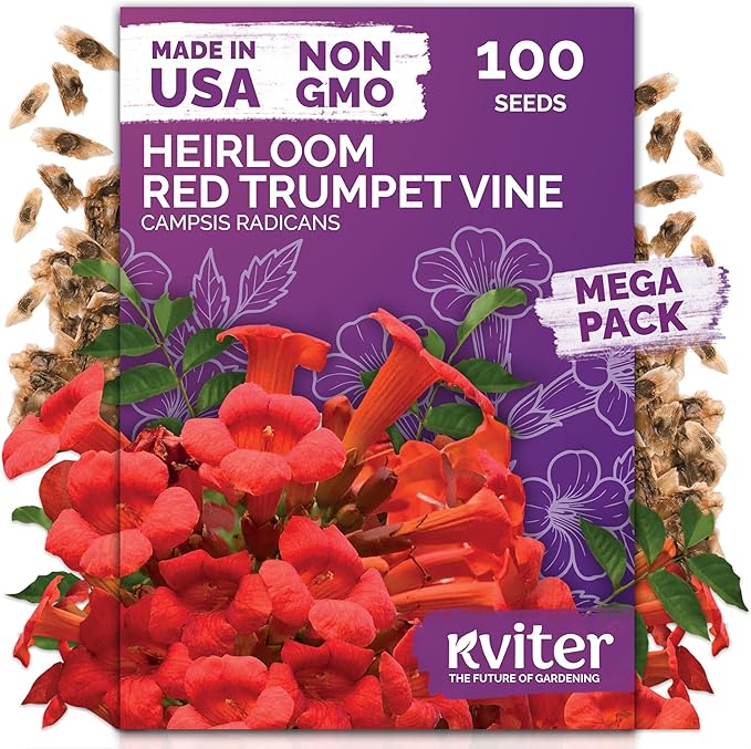 KVITER 100 Red Trumpet Vine Seeds for Planting (Campsis Radicans) – Trumpet Creeper, Organic & Heirloom Hummingbird Vine – Perennial Flower Seeds to Plant Outside – Fences, Trellises & Outdoor Garden