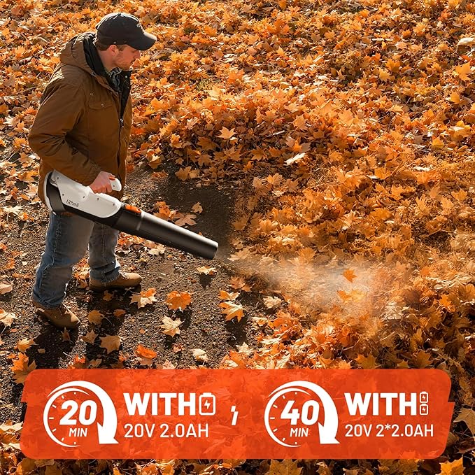 Litheli 20V Cordless Leaf Blower Battery Powered Leaf Blower, 2.0 Ah Battery Lightweight 2 Speed Axial Electric Blowers for Lawn Care, Patio, Snow, Dust, Blowing Leaves