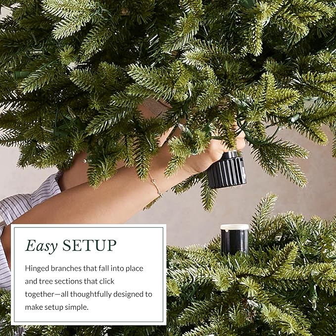 Balsam Hill European Silver Fir - Elegant Artificial Christmas Tree with True Needle Foliage Available Unlit or with LED Clear Lights, Unlit, 5'
