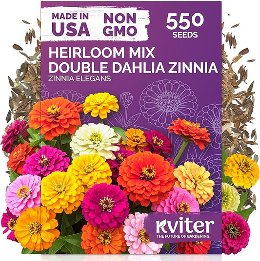 KVITER 550 Dahlia Zinnia Seeds for 2025 Mix (Zinnia Elegans) – Double Blooms, Heirloom & Organic – Flower Seeds for Planting Outdoors in Garden, Containers, Flower Beds. Ideal for Cut Flowers