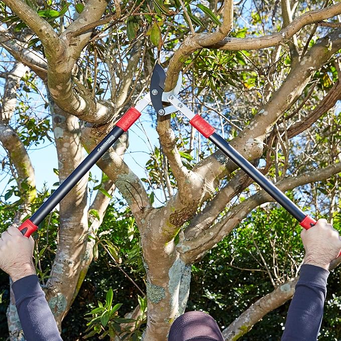 Haus & Garten PowerPRO Compound Action 29 Bypass Loppers - Use as loppers for tree trimming, branch cutters, heavy-duty garden pruning tree clippers, lopping shears