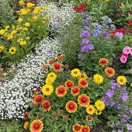 Ferry-Morse Rocky Mountain Mix Bulk Wildflower Seeds, 1lb
