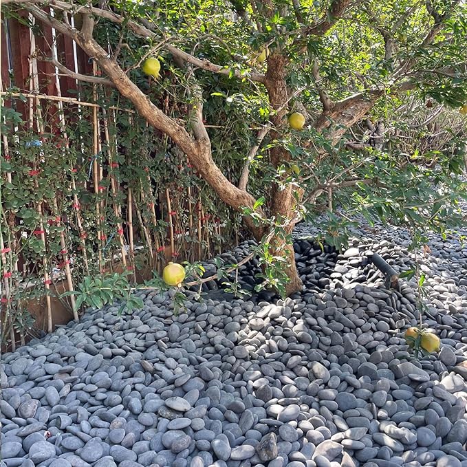 40 lbs Bulk Black River Rocks for Landscaping, 3-4 Inch Mexican Beach Pebbles, Decorative Black Stones for Planters Garden Fish Tank Walkways and Outdoor Decorative Stones