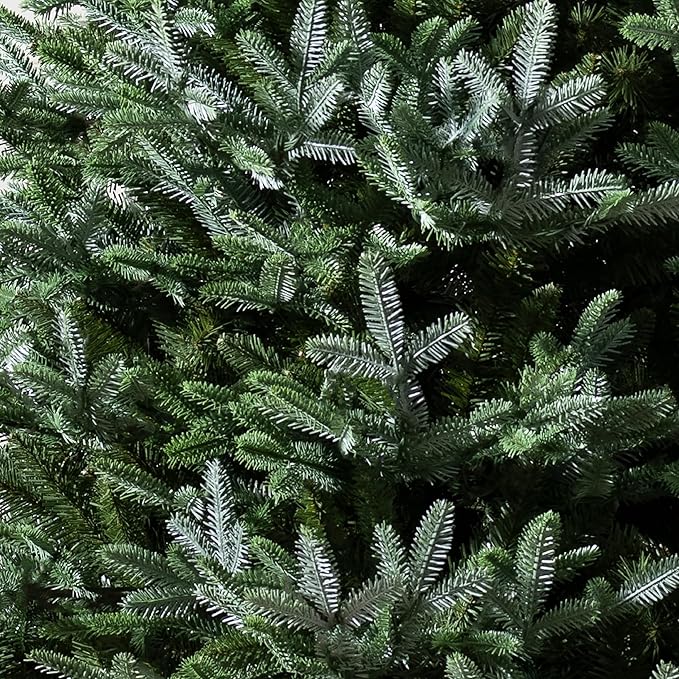 Balsam Hill European Silver Fir - Elegant Artificial Christmas Tree with True Needle Foliage Available Unlit or with LED Clear Lights, Unlit, 7'