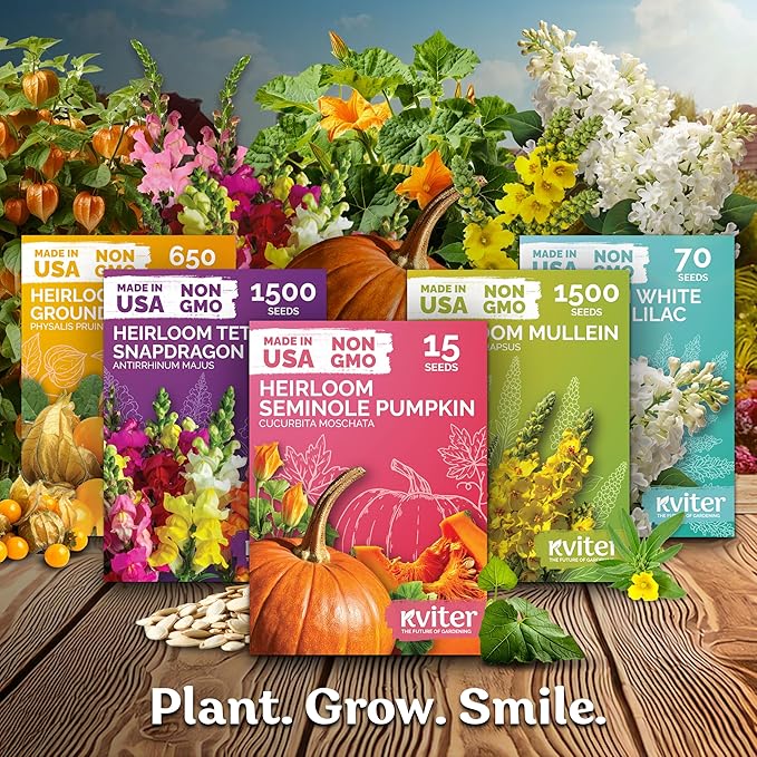 KVITER 550 Dahlia Zinnia Seeds for 2025 Mix (Zinnia Elegans) – Double Blooms, Heirloom & Organic – Flower Seeds for Planting Outdoors in Garden, Containers, Flower Beds. Ideal for Cut Flowers