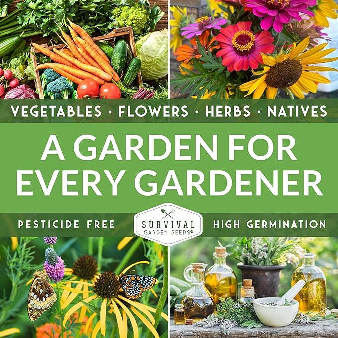 10 Flower Seed Collection for Planting | Zinnia, Sunflower, Marigold, Snapdragon, Nasturtium, Morning Glory, Chamomile, Shasta Daisy, Purple Coneflower, Four O’Clock - Survival Garden Seeds