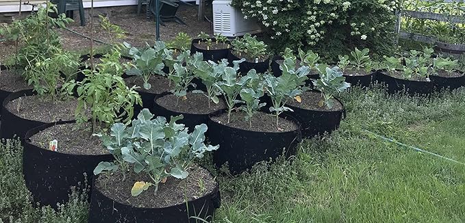 RootEase Garden Planting Fabric Grow Bags, Heavy Duty Durable Fabric Grow Pots, Perfect Harvest Planter, Raised Bed, Eco-Friendly Grow Bags (65 Gallon, Black)