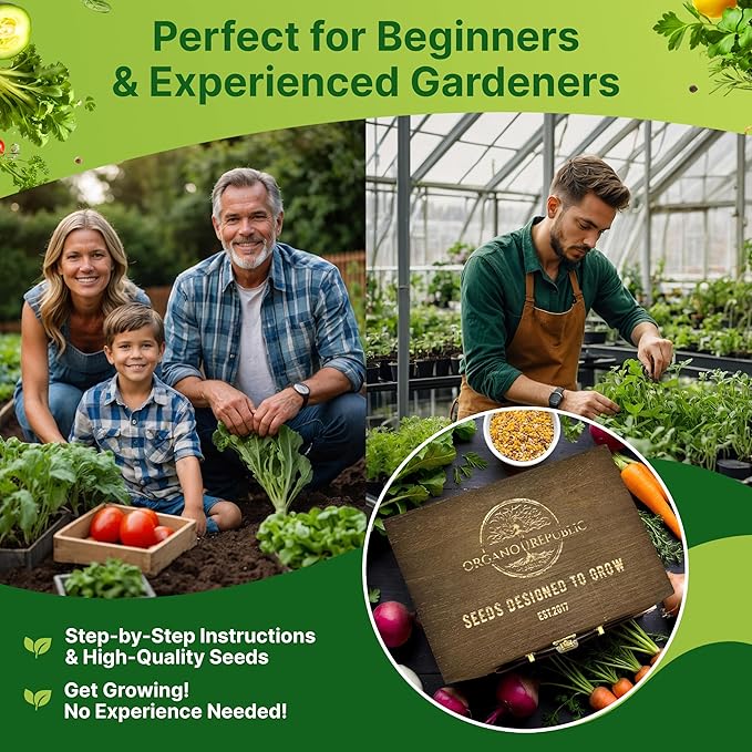 Organo Republic Medicinal & Tea Herb Seeds Variety Pack for Indoor & Outdoors - 75 Variety Pack. Non-GMO Heirloom Garden Seeds: Rosemary, Cilantro, Basil, Oregano, Parsley, Dill, Lavender, Catnip