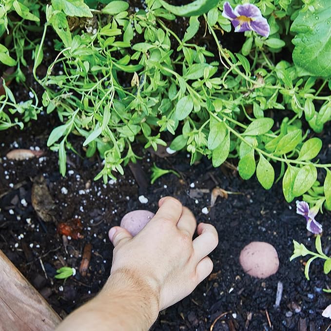 Modern Sprout Wildflower Seed Ball Poop - Easter Basket Essentials - Non-GMO, Hand-Rolled Clay Seed Bombs with Wildflower Seeds - Gardening Gift Set for Kids & Adults - (Easter Plop - Pack of 3)