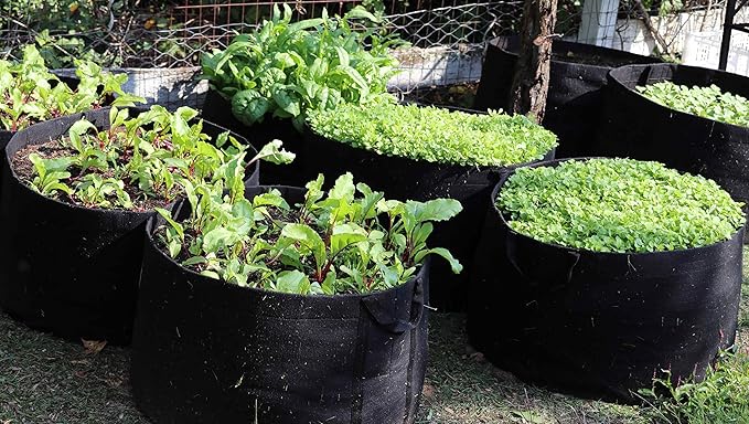 Enroot RootEase Garden Planting Aeration Fabric Container, Heavy Duty Durable Fabric Grow Pots, Perfect Harvest Planter, Raised Bed, Best Root Treatment Eco-Friendly Grow Bags (10 Gallon, Green)
