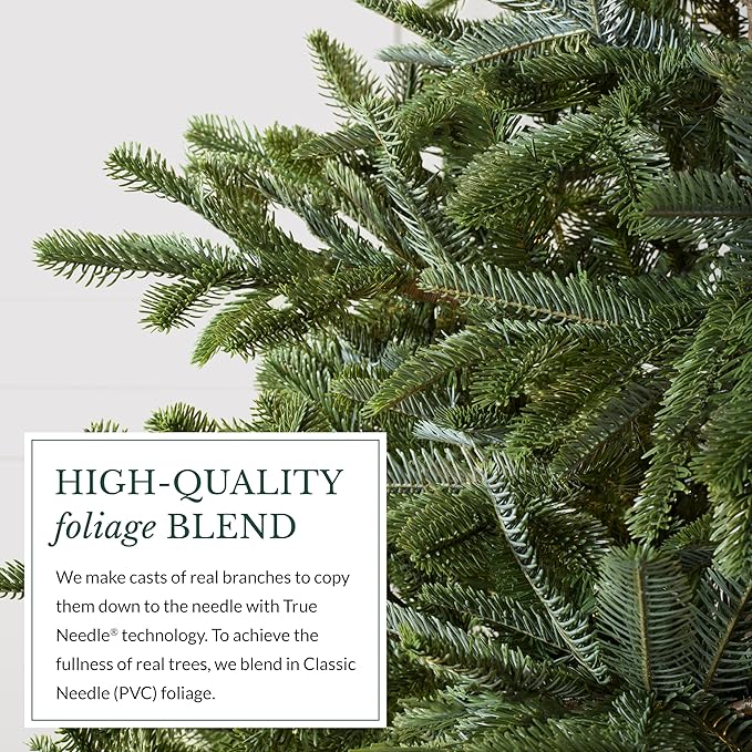 Balsam Hill Mountain Spruce - Realistic Narrow Artificial Christmas Tree with True Needle Foliage Available Unlit or with Warm LED Clear Lights, Unlit, 7.5'